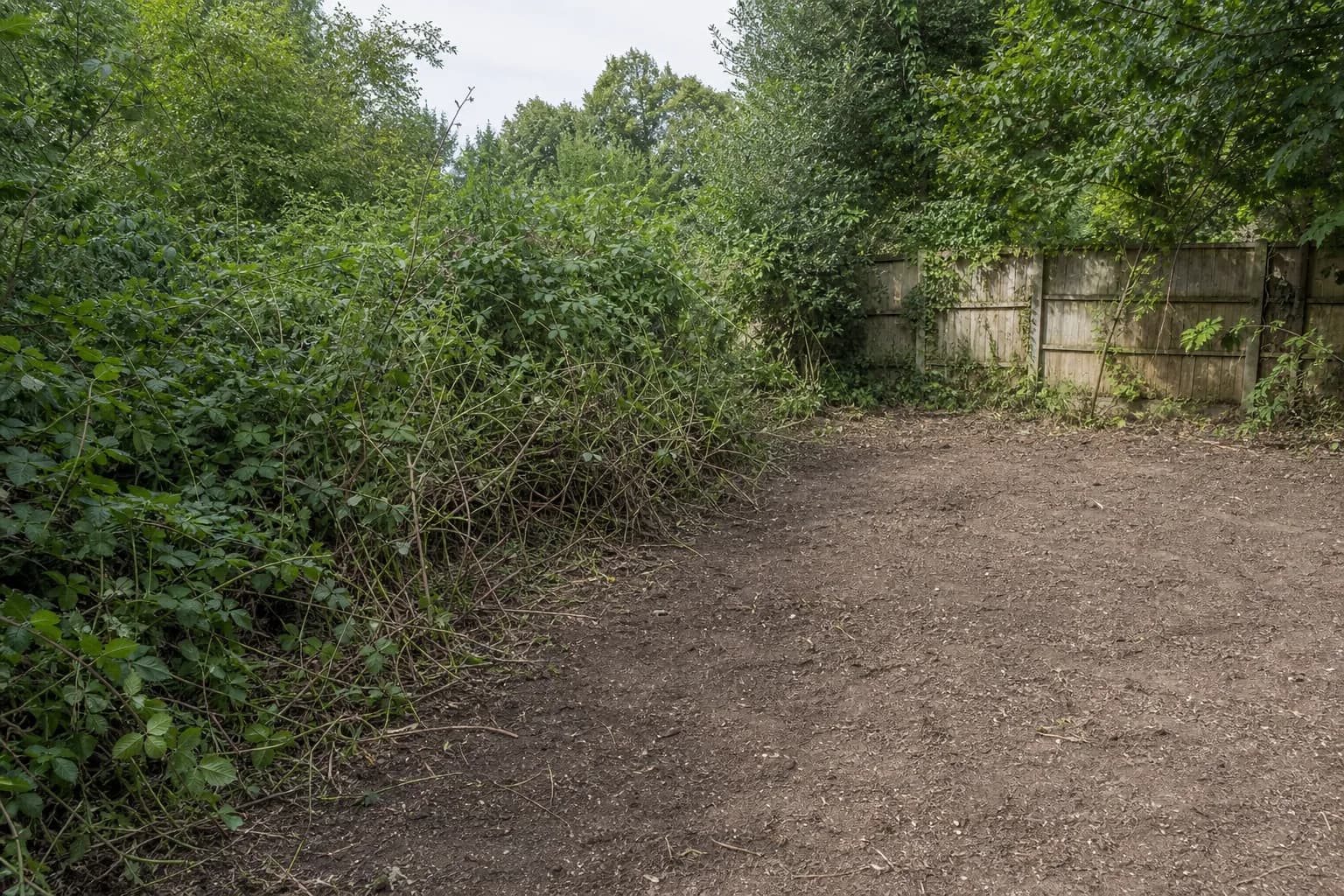 Garden Clearances by KCO Landscapes in Waterlooville